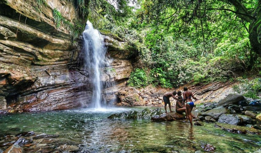 Steward træ Lad os gøre det Top 5 Spots to Find Jamaica's Healing Waters